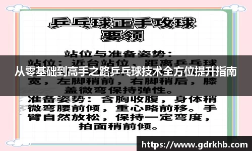 从零基础到高手之路乒乓球技术全方位提升指南